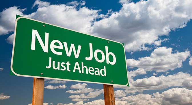 Employment opportunities through new website businesses.